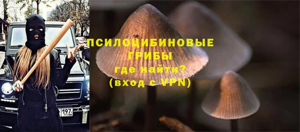 спиды Арсеньев