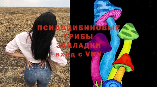 спиды Арсеньев