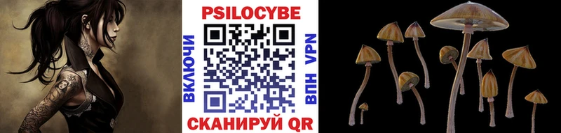 Галлюциногенные грибы мицелий  Липки 